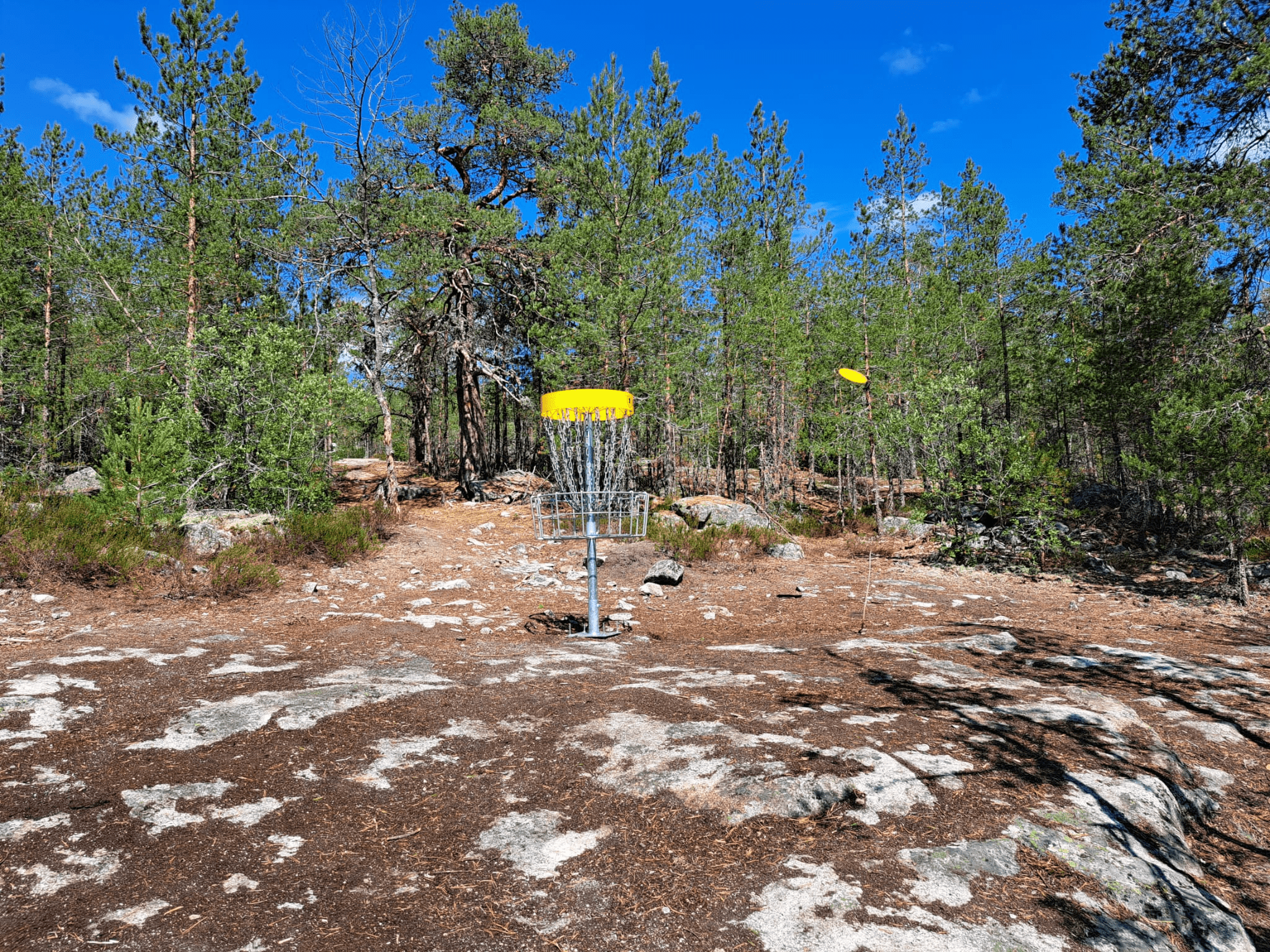 Frisbee lentää kohti frisbeegolf maalia